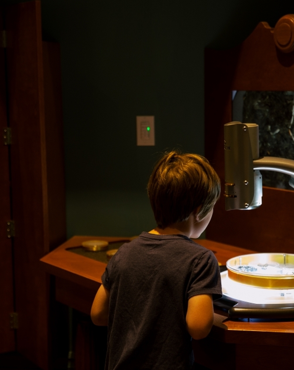 The Congdon Hall Of Mysteries